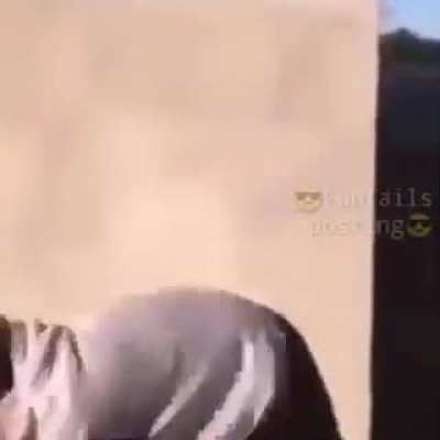 Ñ