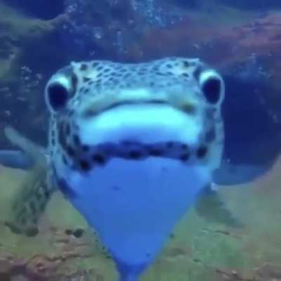 See this camera?