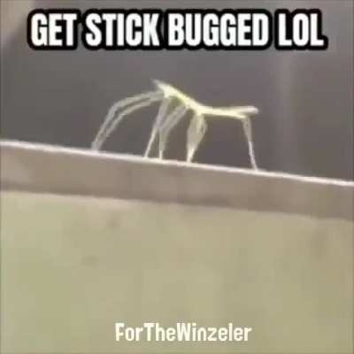 ey