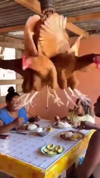 Chicken Ceiling Fan 🐔