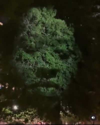 Art using trees