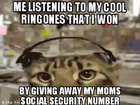 Cool😎🐱🎧🎧defintly wort it👌👍👍