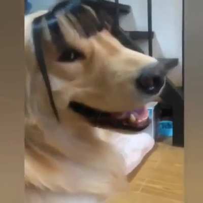 Is my new Hairstyle Adorable ?