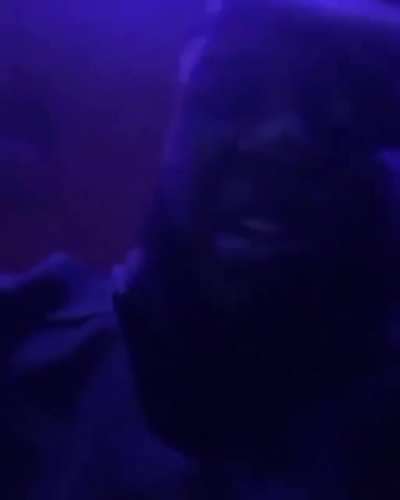 Maxo Kream ft. Tyler