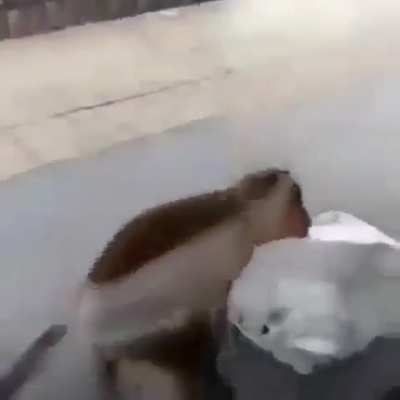 Peo