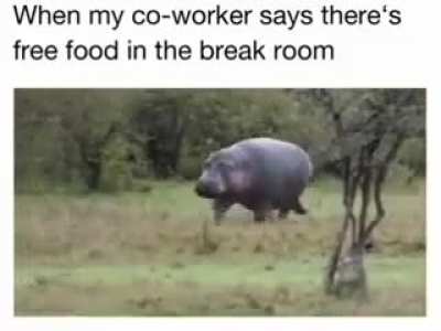 me_irl
