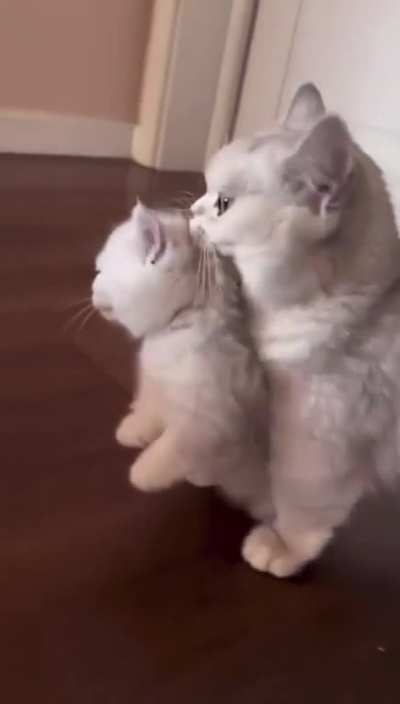 Cuteness overload.