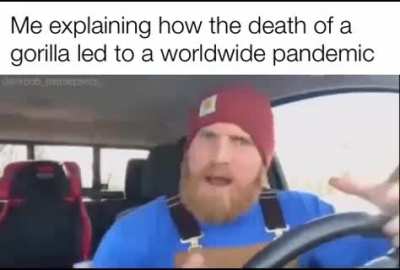 We live in a society