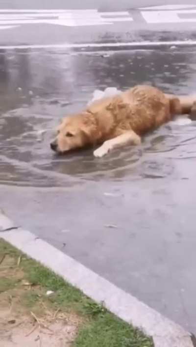 Playing in the rain