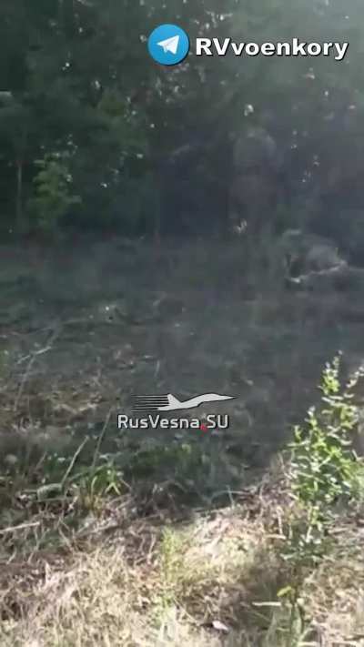 Russians defeating alleged Ukrainian “special forces” somewhere in Kursk