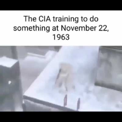 Wonder what is was
