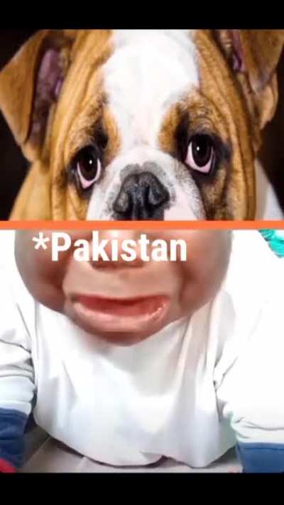 map khol ke dekh le