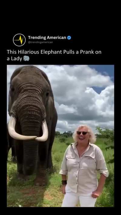 Wait for it 