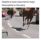 sound on