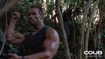 Это джунгли! (звук)