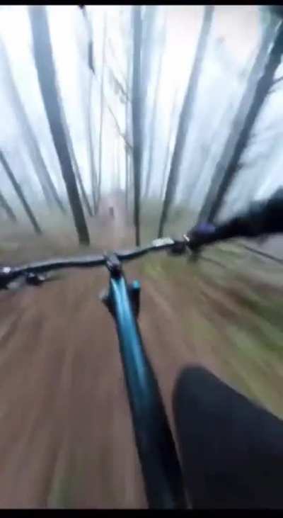 “Trading cryptos is like riding a bike” The bike ride: