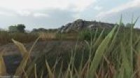 Shrek in Bannerlord ... sorry.