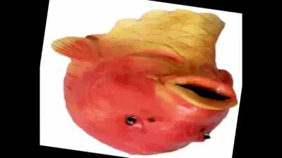 fish