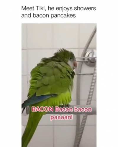 Birb.