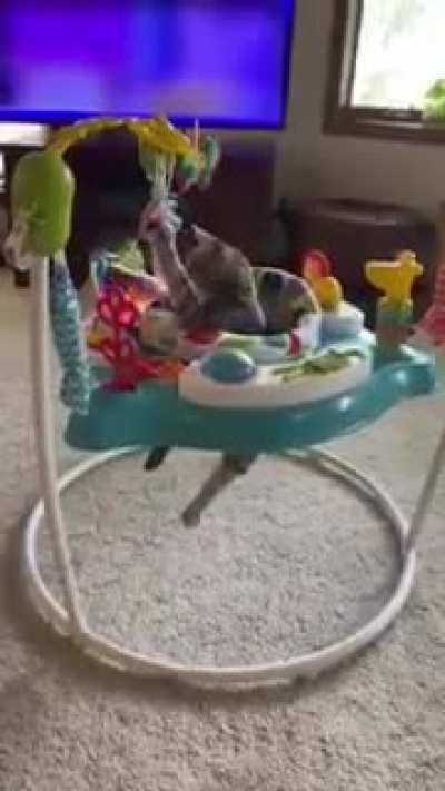 This belongs here!