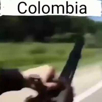 insert title