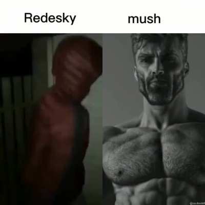 Fato