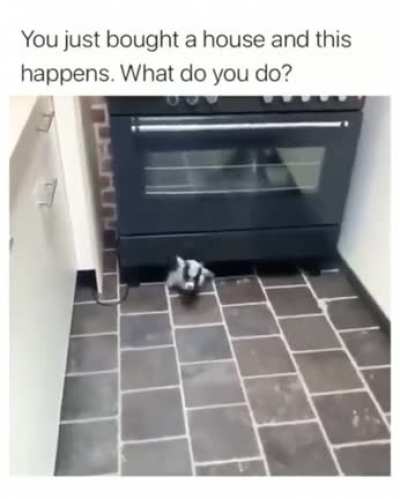 You just bought a house and this happens. What do you do?