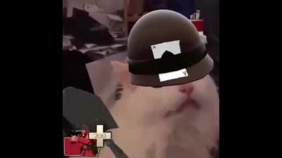Fight to the death!