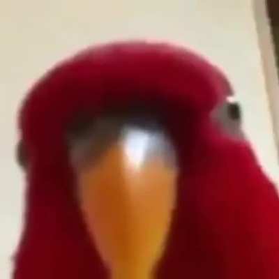 Add a title