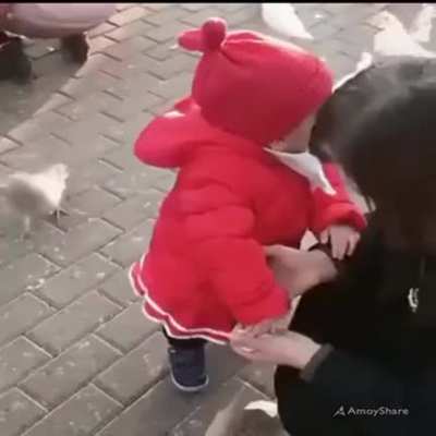 The dove is now mentally broken