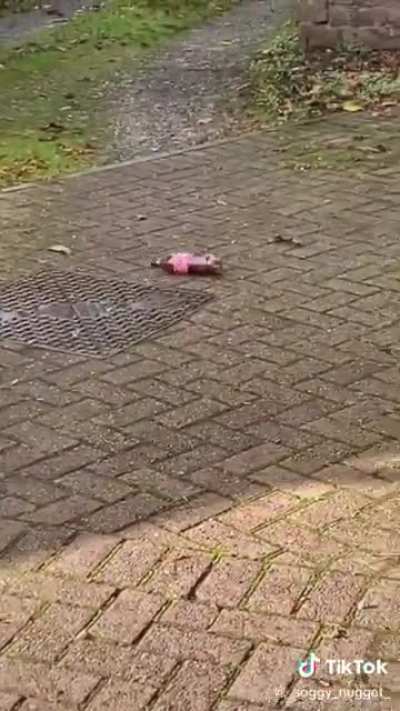 Pepsiman