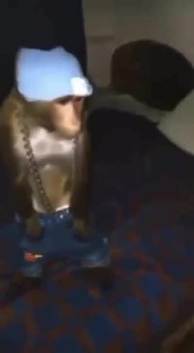 Monkey drip