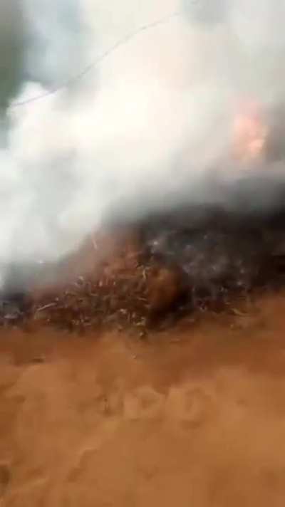 DESGRAÇADO QUEIMOU MEU FEIJÃO 😡😡