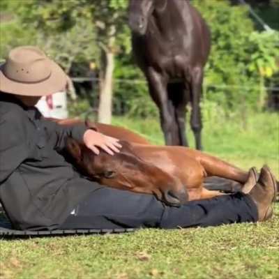 A man and his horse