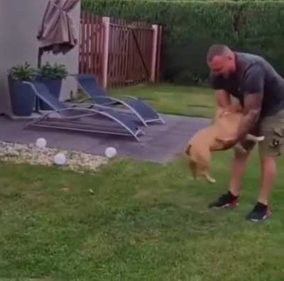 DeSpErAte MaN fIgHtS fOr HiS LiFe As ViCiOuS fUcKiNg BeAsT rEpEaTeDlY aTtEmPtS tO eAt HiS gOdDaMn FaCE