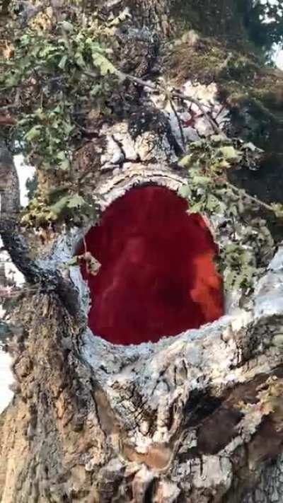 Это как так получ<wbr>илось<wbr>?