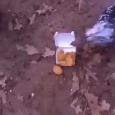 That's bad