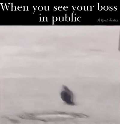 Ahh yes, salute