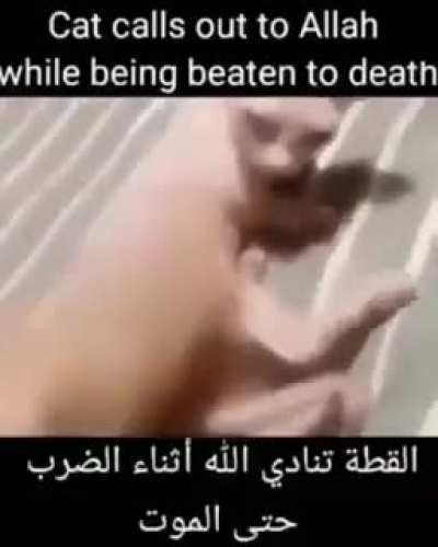 Mashallah