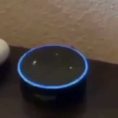 Alexa... please stop with the madness