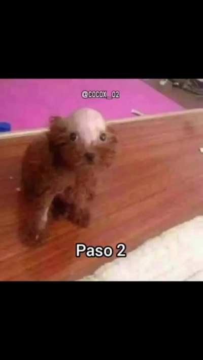 Espero les sirva