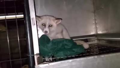 Sry for the bad audio.