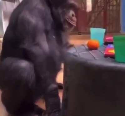 Birthday Monke