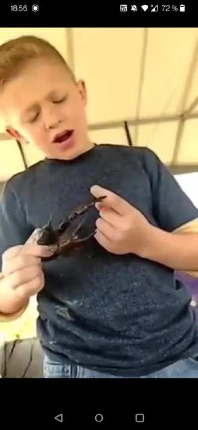 playing with a crab