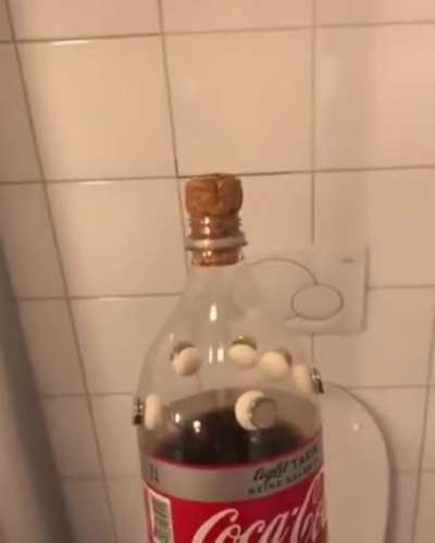 How to clean a toilet (Sound On)