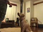 Best friend gets a new best friend