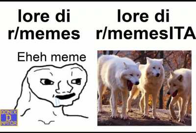 L'alloro
