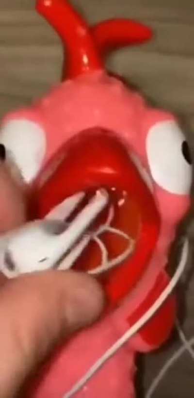 chicken