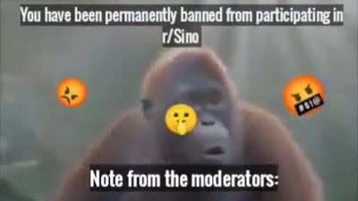 Genocide🦍👌🏻👌🏻👌🏻