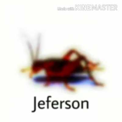 Jeferson 😎👌